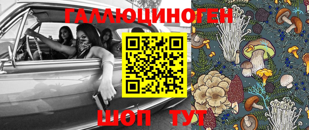 Артёмовский  Галлюциногенные грибы Psilocybine cubensis  Вход с VPN  Галлюциногенные грибы Psilocybe 