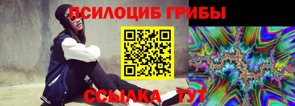 Псилоцибиновые грибы GOLDEN TEACHER Артёмовский
